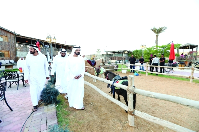 محمد بن راشد  يزور مقر النادي الملكي للفروسية في دبي