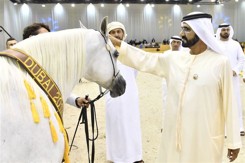 محمد بن راشد يشهد ختام بطولة دبي الدولية للجواد العربي