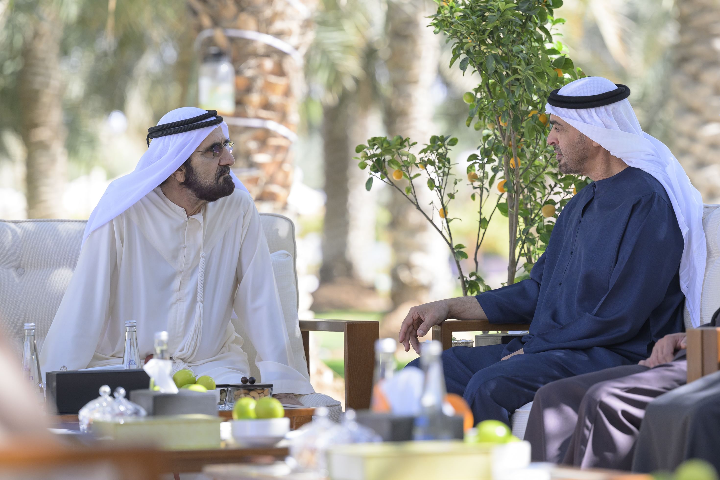 رئيس الدولة ومحمد بن راشد يبحثان في العين عددا من الموضوعات التي تهم شؤون الوطن