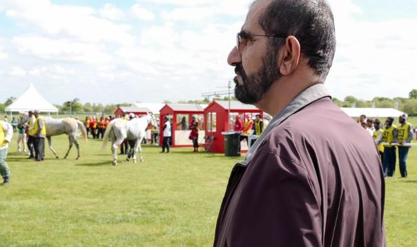 محمد بن راشد يلتقي ملكة بريطانيا بحضور ملك البحرين على هامش سباق كأس "ويندسور الملكي" للقدرة في إنجلترا