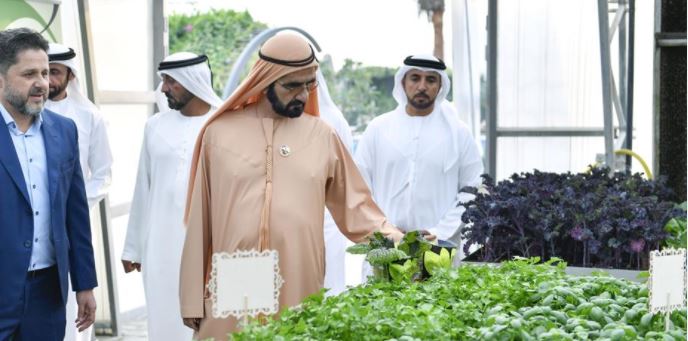 محمد بن راشد يزور "المدينة المُستدامة" في دبي 